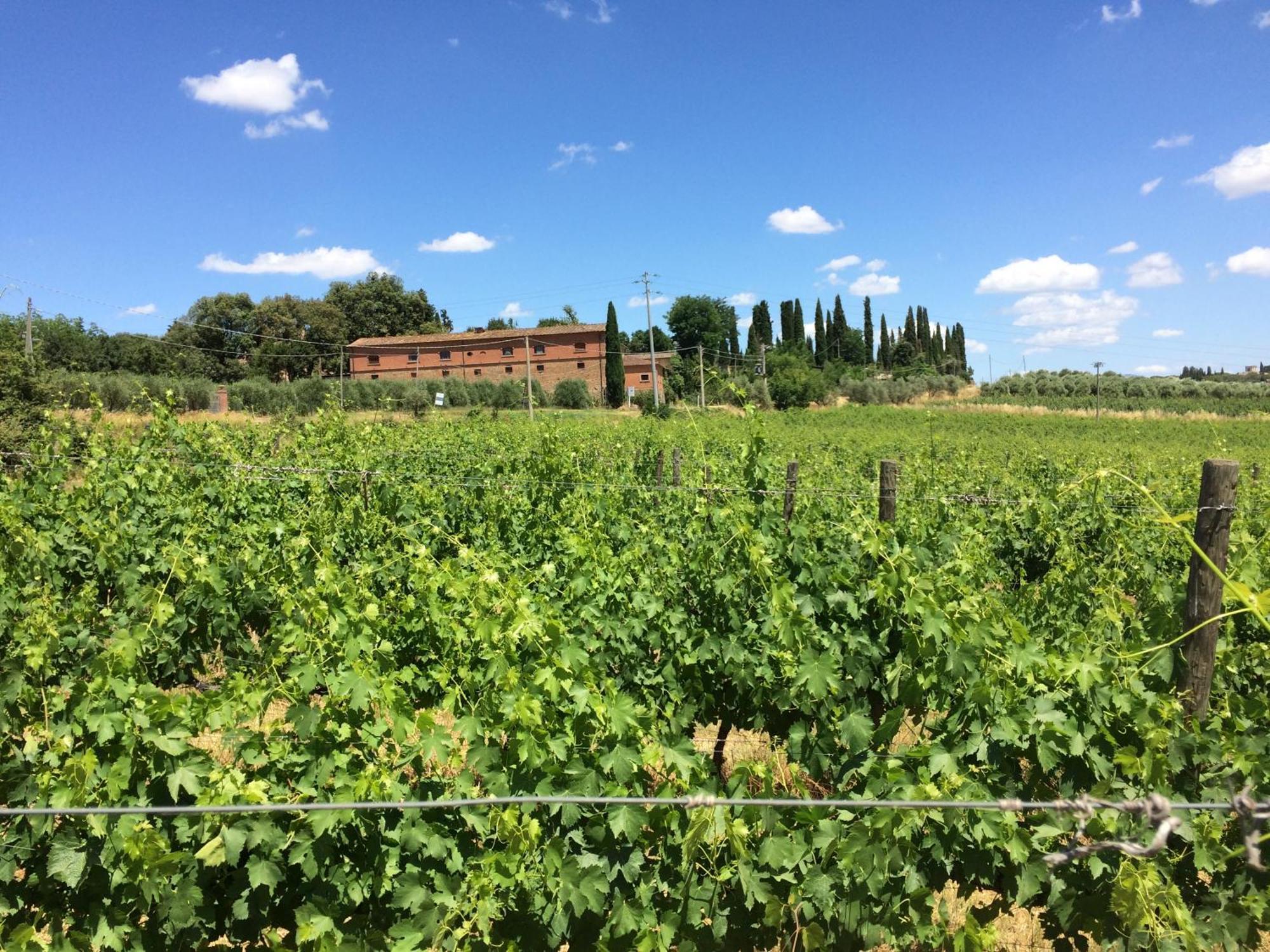 Agriturismo Fattoria Santa Vittoria Pozzo  외부 사진